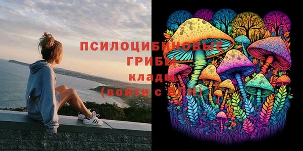 прущая мука Магас