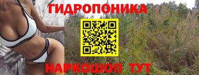 гашишное масло Гусев