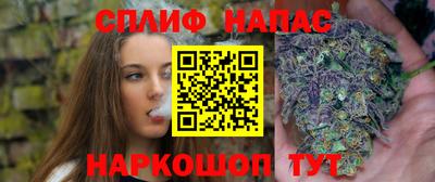 a pvp Кингисепп