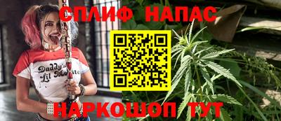 прущие грибы Гусь-Хрустальный