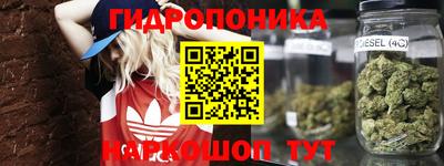 мяу мяу мука Гусиноозёрск