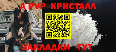 a pvp Кингисепп