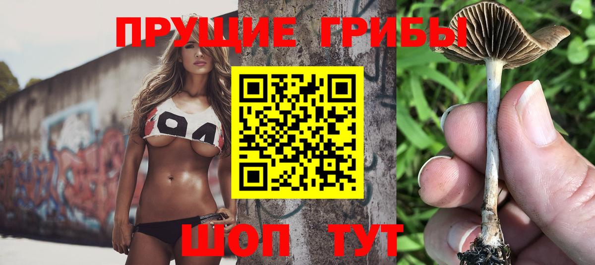 Энгельс  Галлюциногенные грибы мицелий  Вход с VPN 