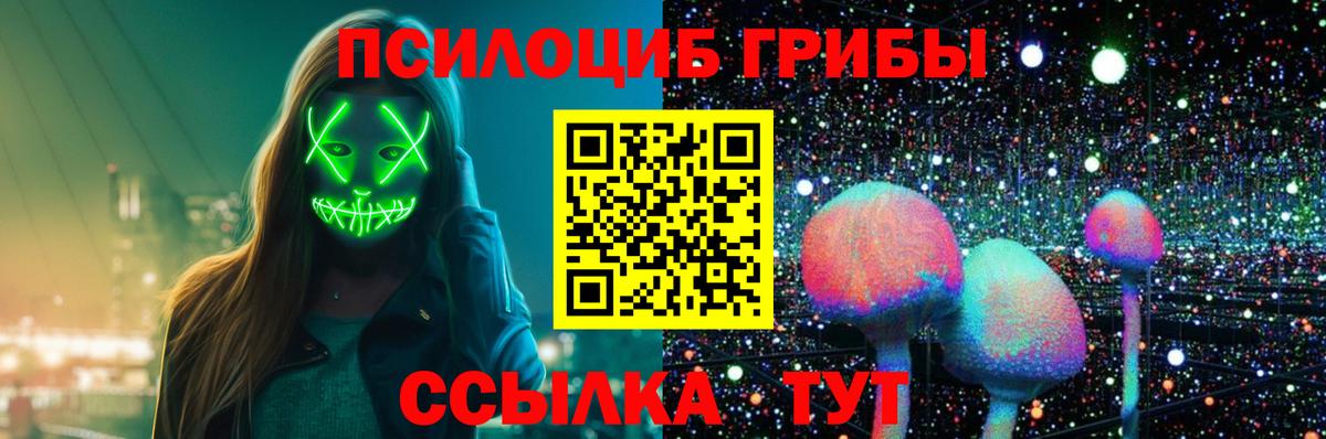 Псилоцибиновые грибы Psilocybine cubensis Энгельс